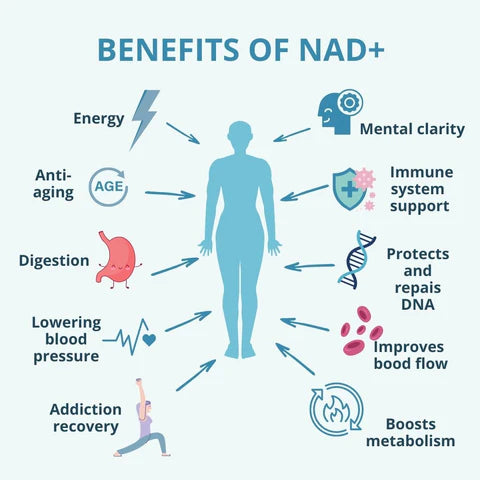 NAD+ IV Therapy